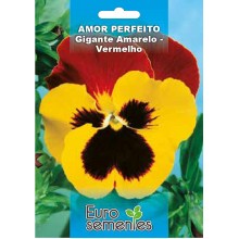 EUROSEMENTES FLORES AMOR PERFEITO